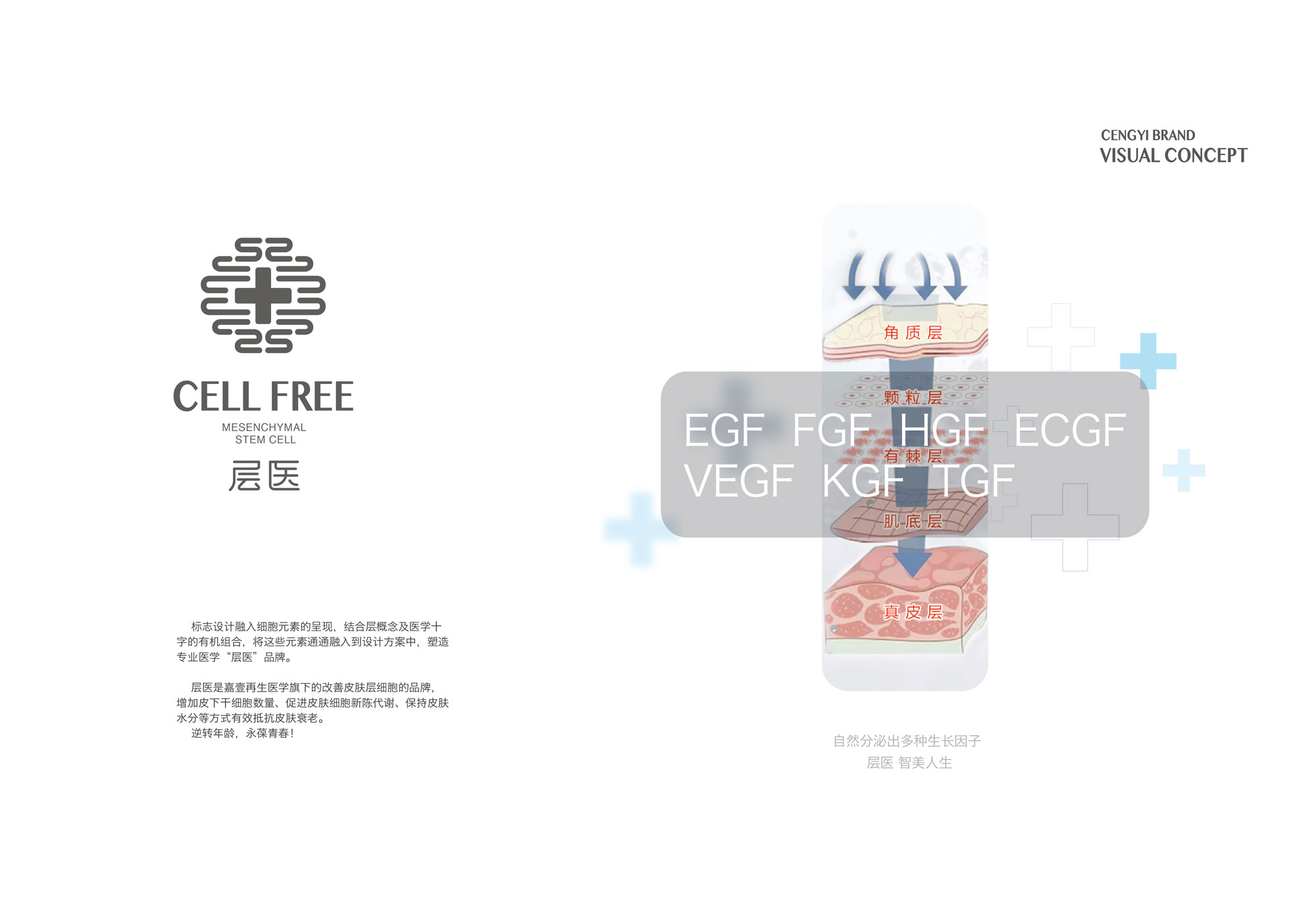 大連嘉壹再生醫學研究所有限公司 LOGO設計/包裝設計